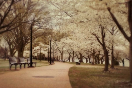 Picture of SPRINGTIME STROLL