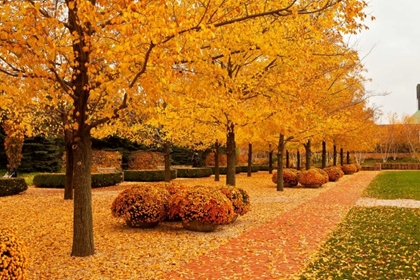 Picture of FALL WALKWAY
