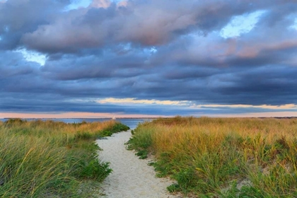 Picture of JETTIES BEACH PATH