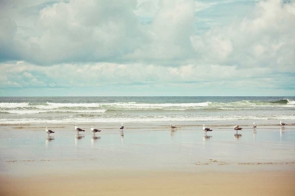 Picture of BEACHCOMBING