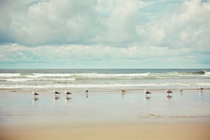 Picture of BEACHCOMBING