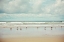 Picture of BEACHCOMBING