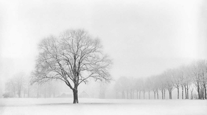 Picture of STANDING ALONE