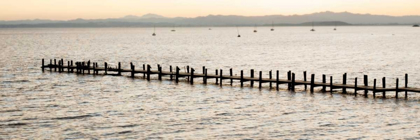 Picture of VINTAGE PIER MORNING VISTA