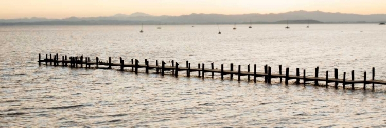 Picture of VINTAGE PIER MORNING VISTA