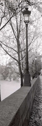 Picture of SEINE PROMENADE