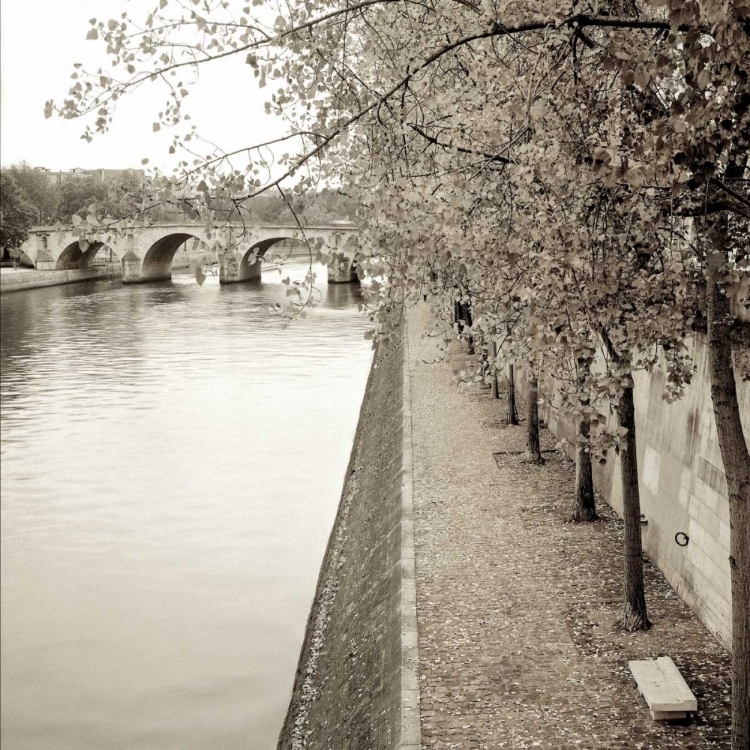 Picture of SEPIA-PROMENADE SEINE - 2