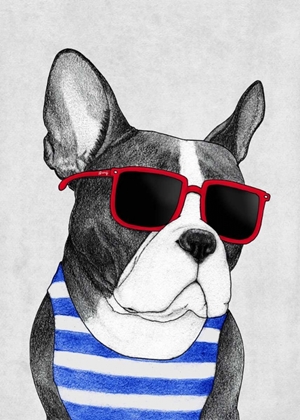 Picture of FRENCHIE SUMMER STYLE