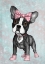 Picture of SWEET FRENCHIE