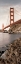 Picture of GOLDEN GATE BRIDGE #1
