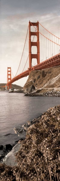 Picture of GOLDEN GATE BRIDGE #1