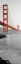 Picture of GOLDEN GATE BRIDGE AT DAWN (A)