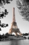 Picture of MATIN SUR LA SEINE