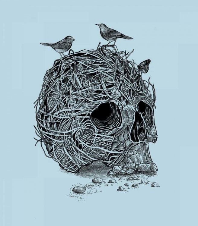 Picture of SKULL NEST