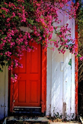 Picture of RED DOOR