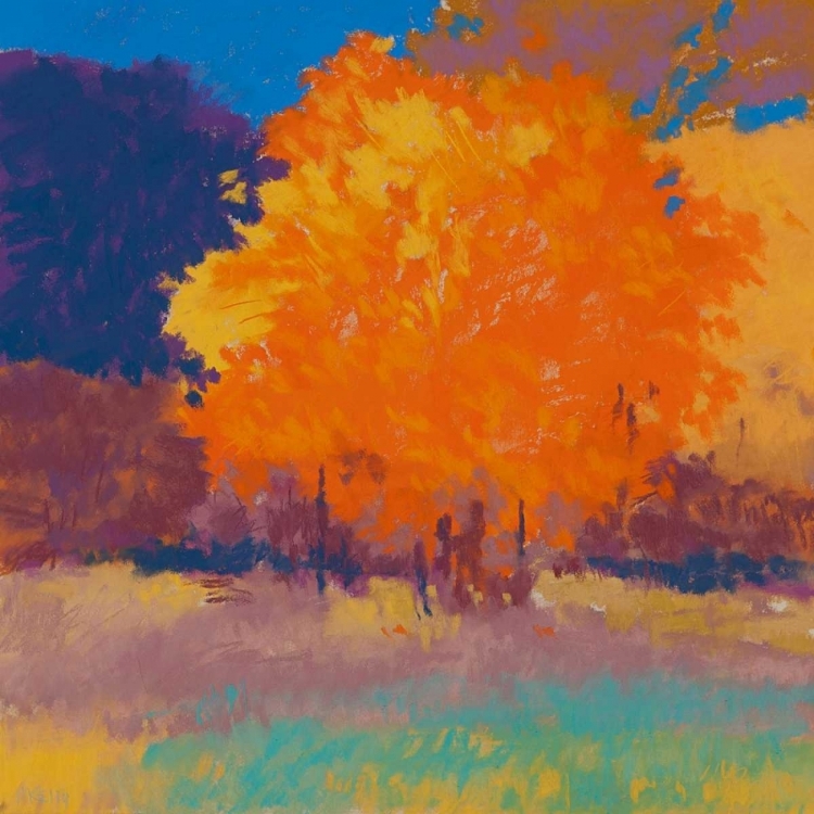 Picture of ORANGE MAPLE