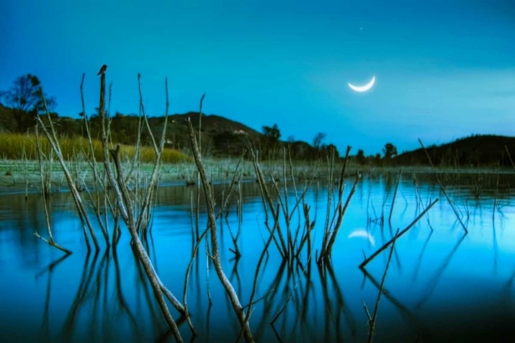 Picture of THE BLUE LAKE