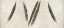 Picture of FEATHER PANEL - 2