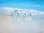 Picture of SORRENTO GULLS