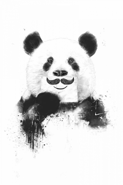 Picture of FUNNY PANDA