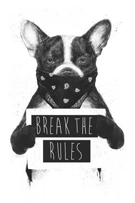 Picture of REBEL DOG