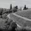 Picture of TUSCANY - 5