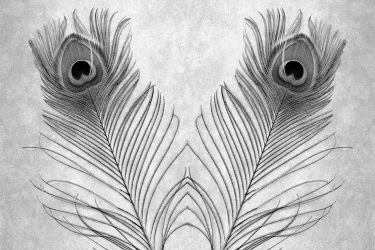 Picture of UNTITLED
