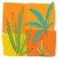 Picture of GRASSES II