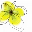 Picture of YELLOW PETALS FOUR