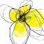 Picture of YELLOW PETALS THREE