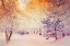 Picture of SNOWY SUNRISE