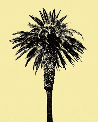 Picture of PALM TREE 1996 (YELLOW)