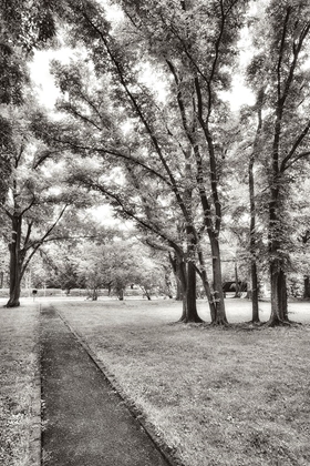 Picture of GARDEN PATHWAY NO.1