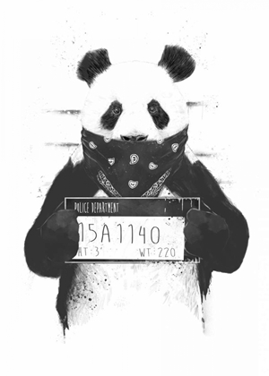 Picture of BAD PANDA