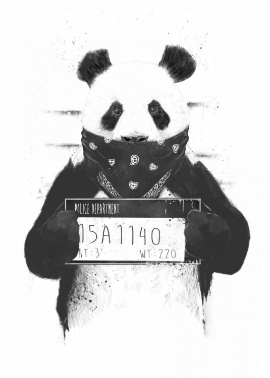 Picture of BAD PANDA