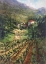 Picture of TUSCANY VINEYARD