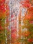 Picture of AUTUMN PASSAGE