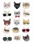 Picture of CATS WITH GLASSES