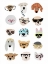 Picture of DOGS WITH GLASSES