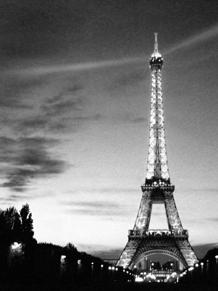 Picture of EIFFEL TOWER