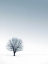 Picture of TREE IN WINTERSCAPE