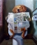 Picture of DOG GONE FUNNY