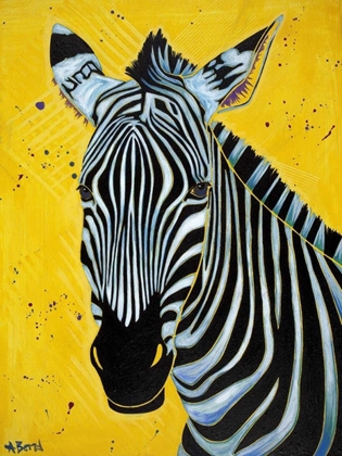 Picture of ZEBRA