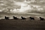 Picture of RACING THE CLOUDS