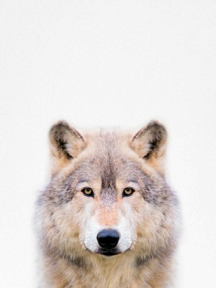 Picture of WOLF