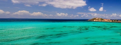 Picture of CARIBBEAN WATERS