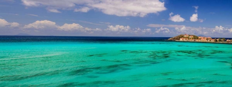 Picture of CARIBBEAN WATERS