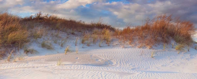 Picture of DUNES LIGHT