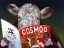 Picture of COW TIPS