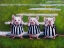 Picture of THREE BLIND MICE